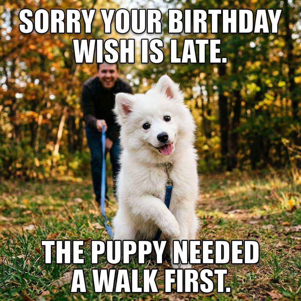 Puppy Walk Priority Meme