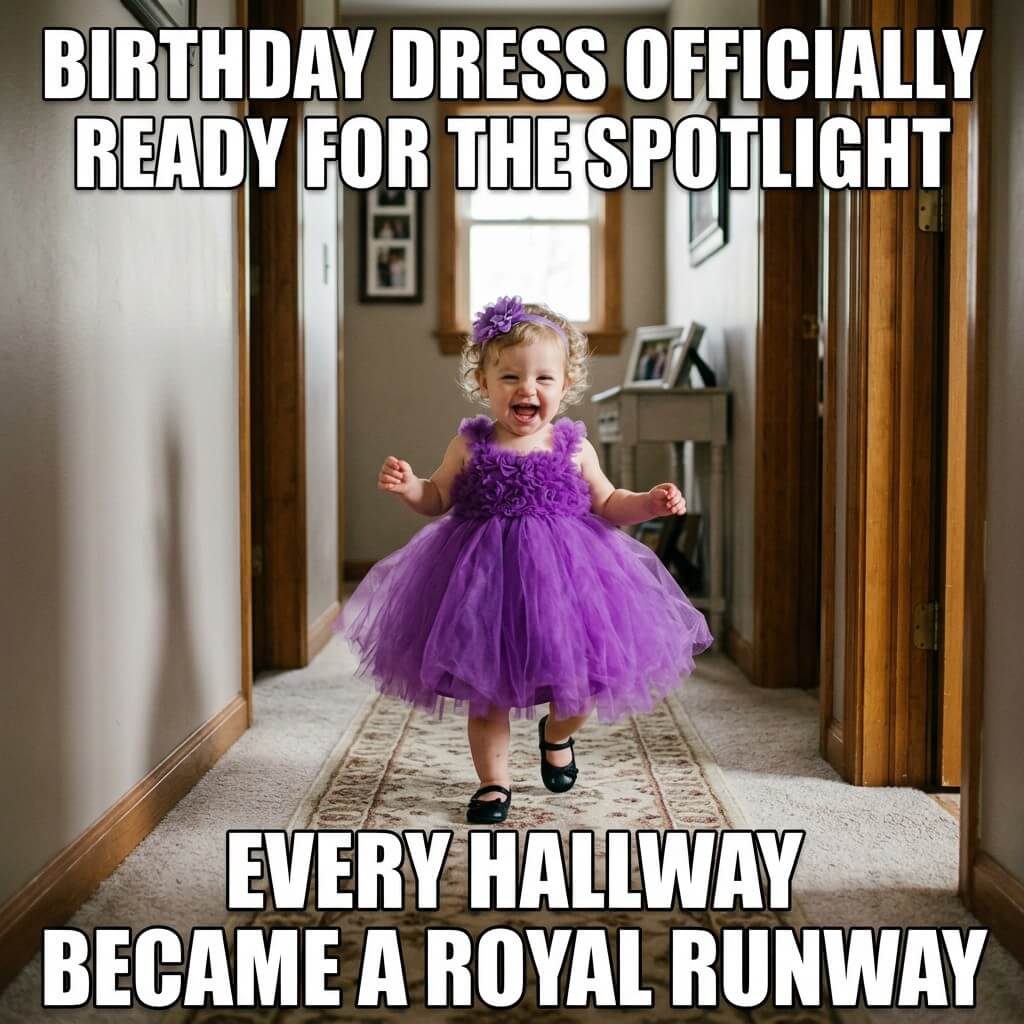 Party Dress Runway Meme