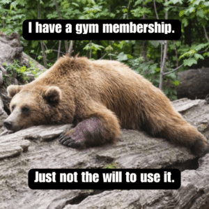 bear lying on the tree trunk