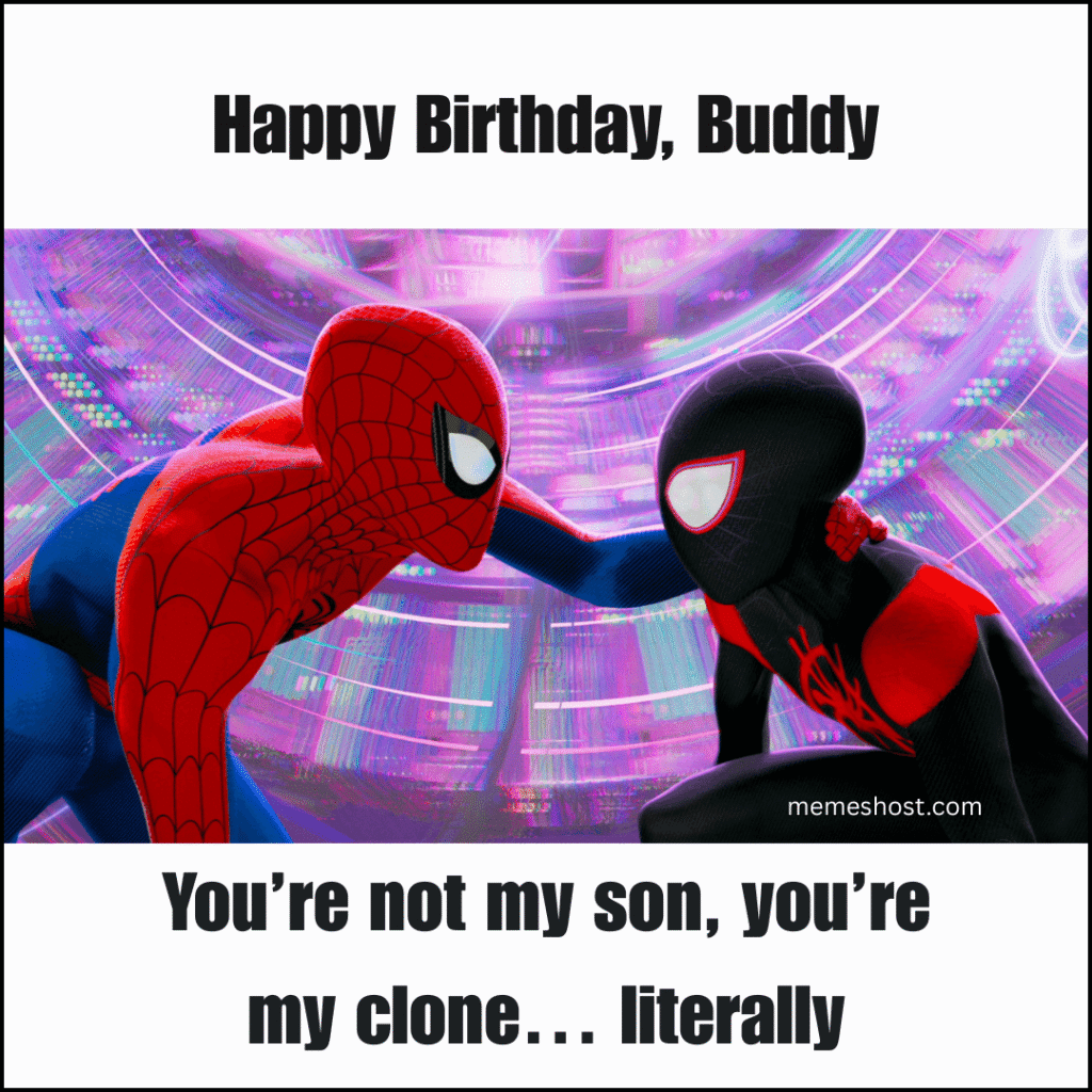 spiderman looking at another spiderman