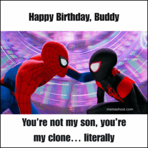 spiderman looking at another spiderman