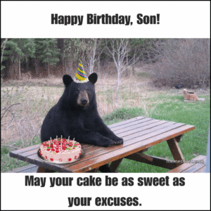 black bear sitting on bench having birthday in front of him.
