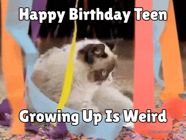 13 to 17 Birthday Memes