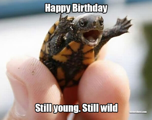 3 to 12 Birthday Memes