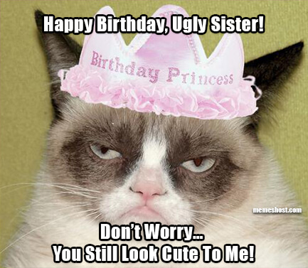 Happy Birthday Ugly Sister Meme
