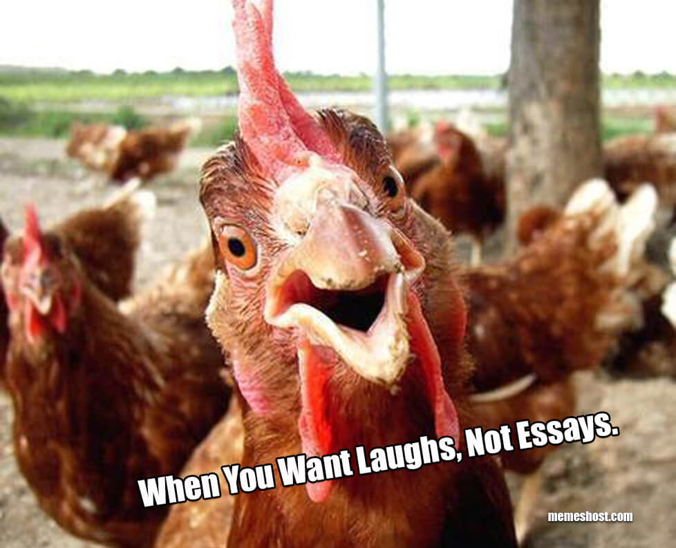 when to send happy birthday meme