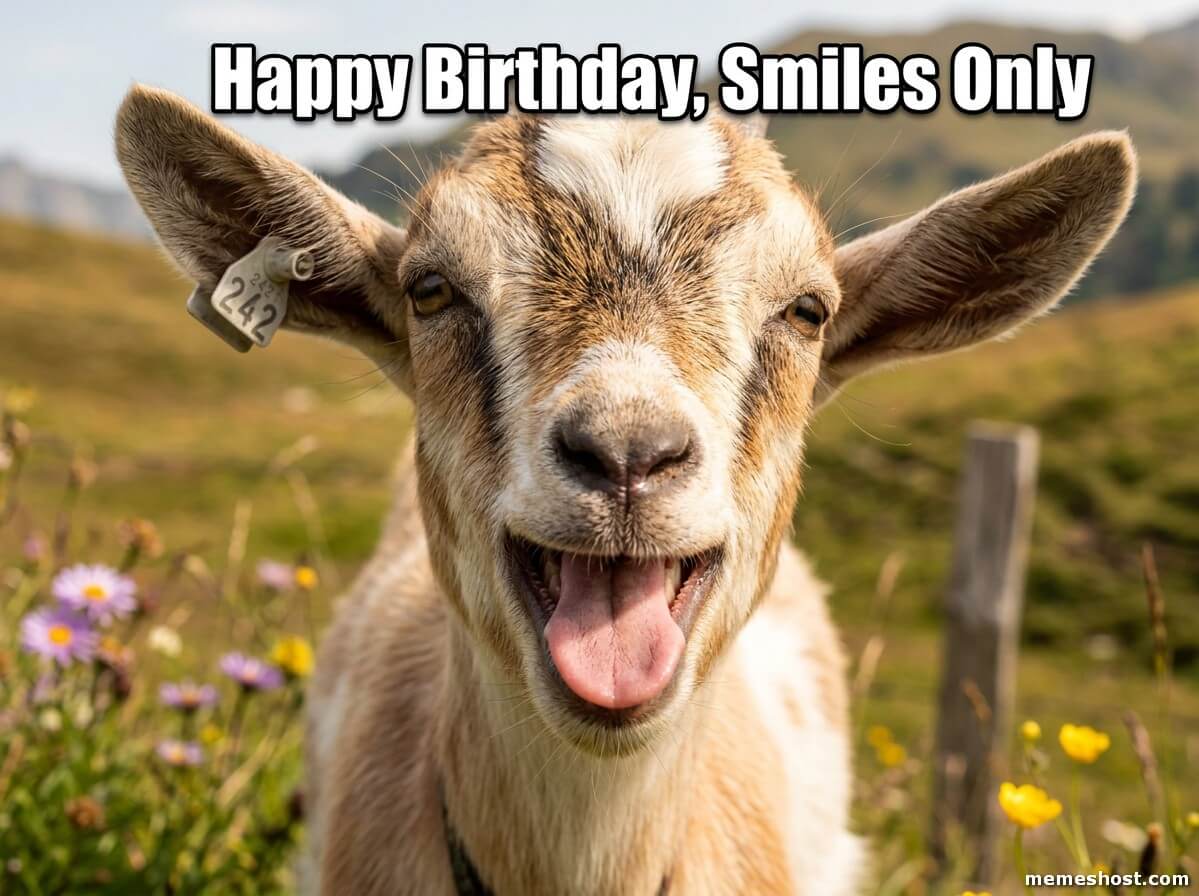 Cute-Wholesome-Birthday-Meme